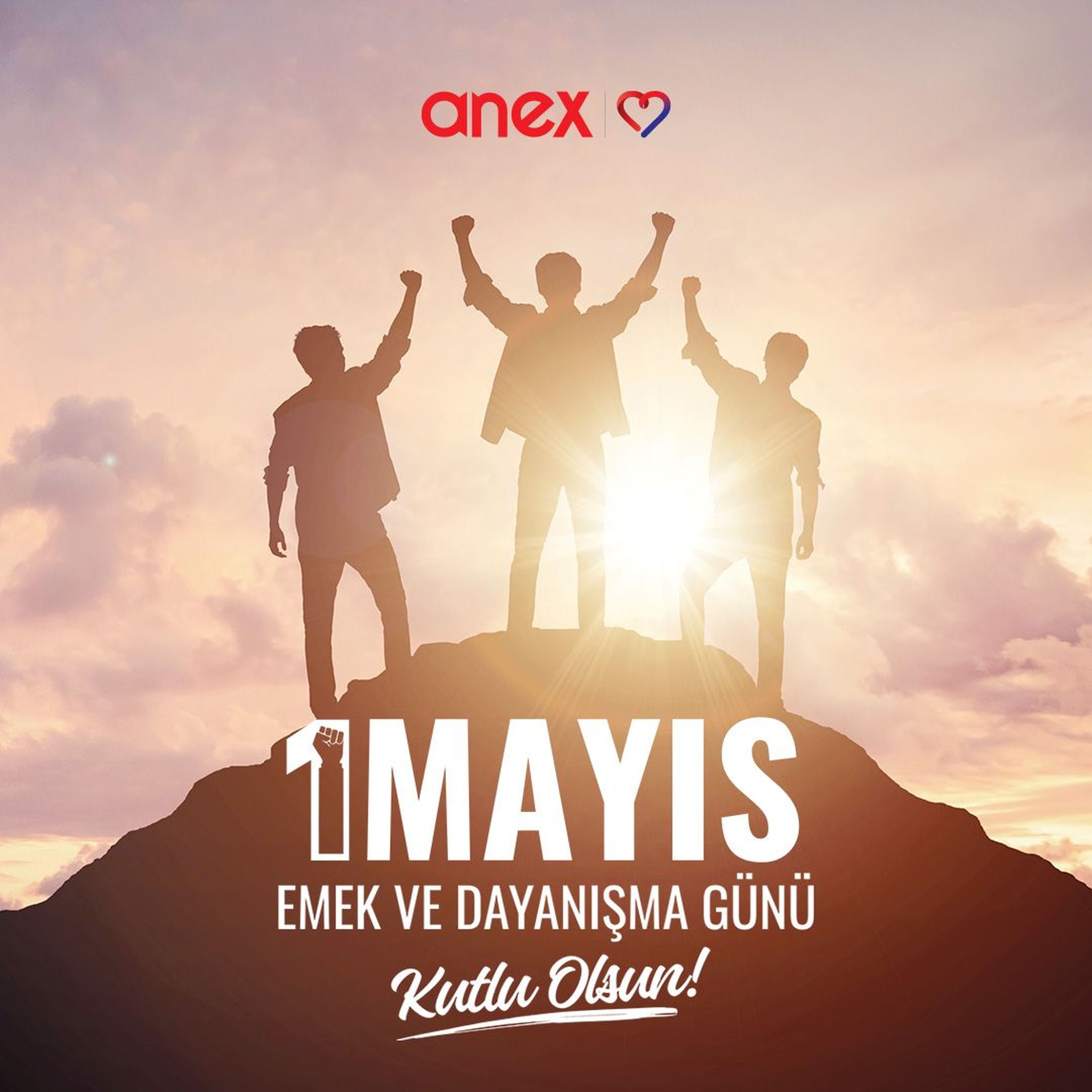 Công ty TNHH TM và DL ANEX Việt Nam - Hình 4
